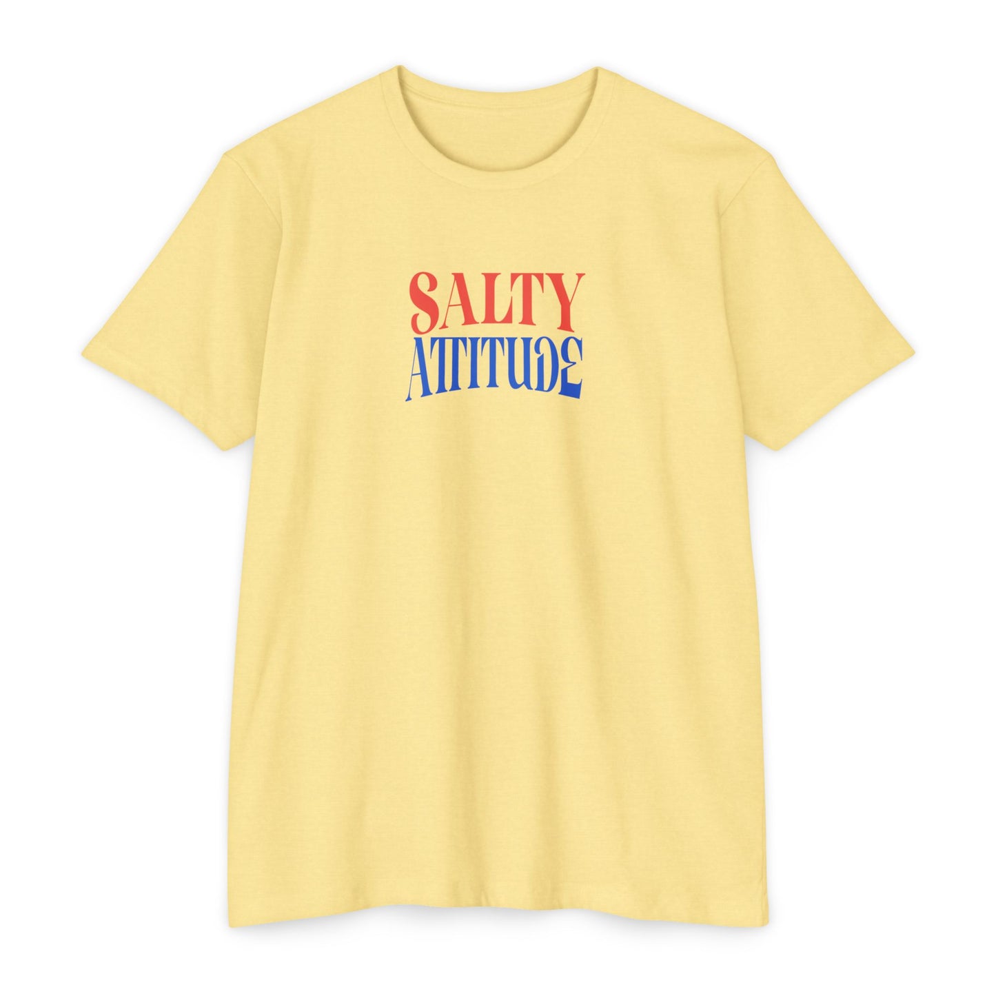Send Dink Pics Basketball T‑Shirt — 'Salty Attitude' Retro Sports Graphic Tee