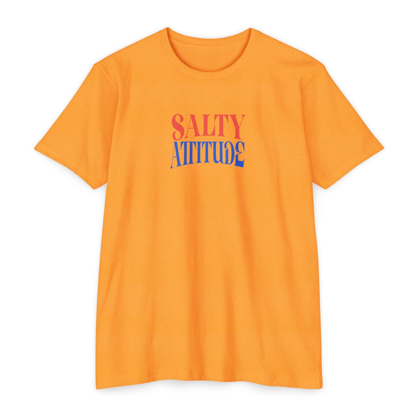 Send Dink Pics Basketball T‑Shirt — 'Salty Attitude' Retro Sports Graphic Tee